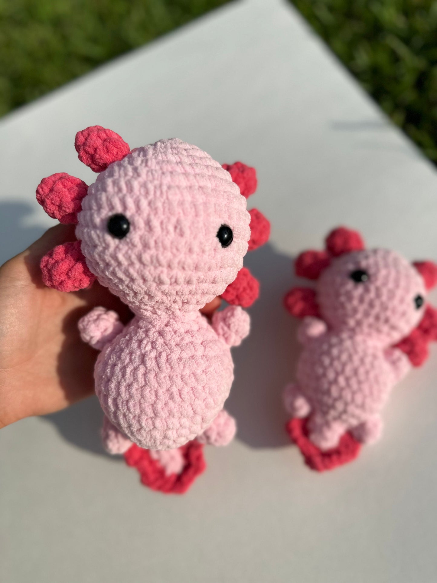 Axolotl