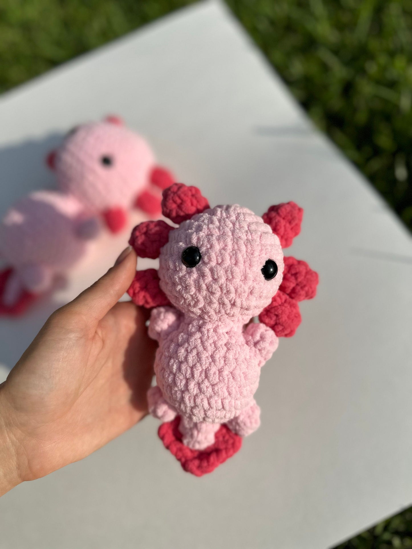 Axolotl