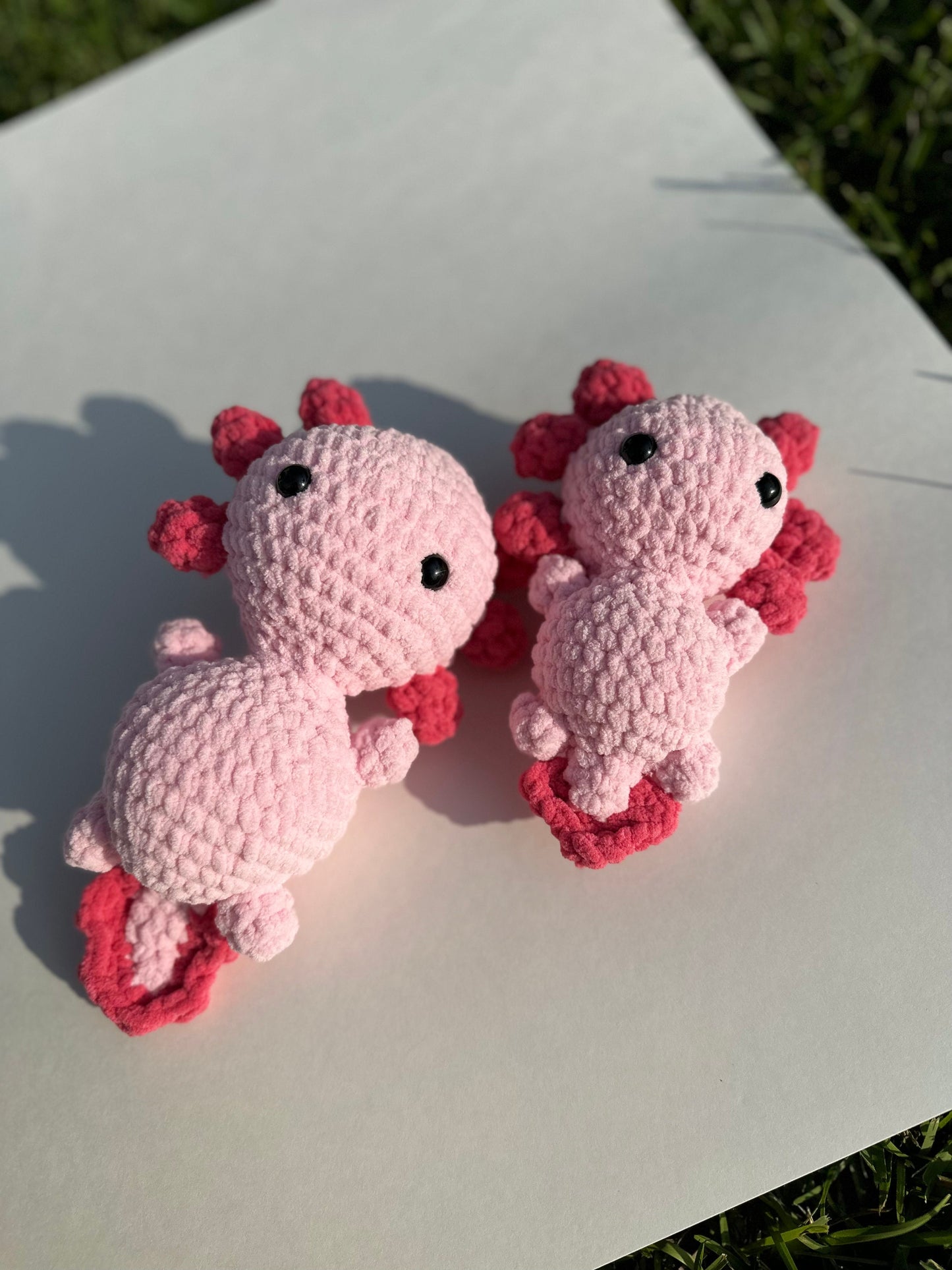 Axolotl