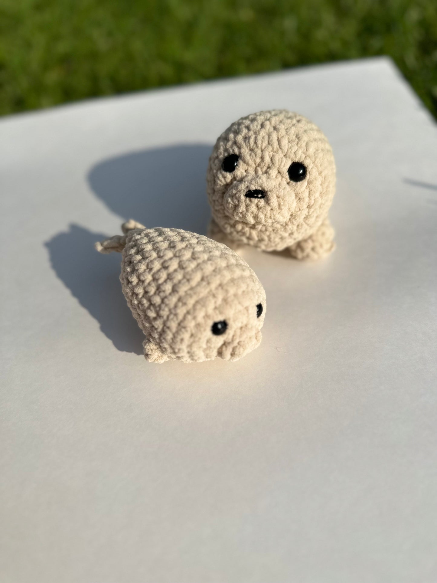 Seal Family