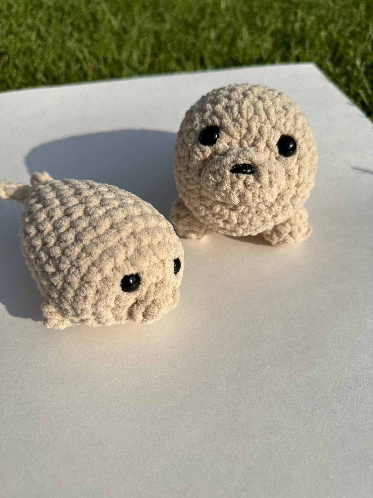 Seal Family