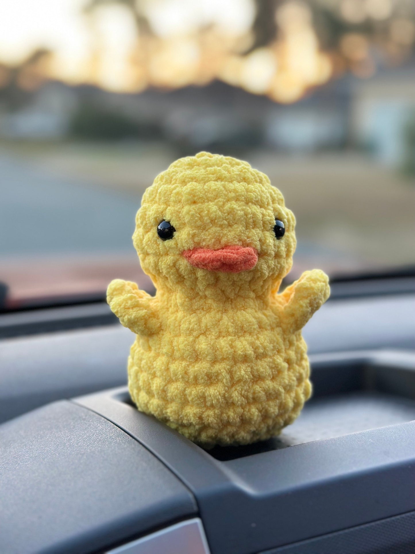 Duck