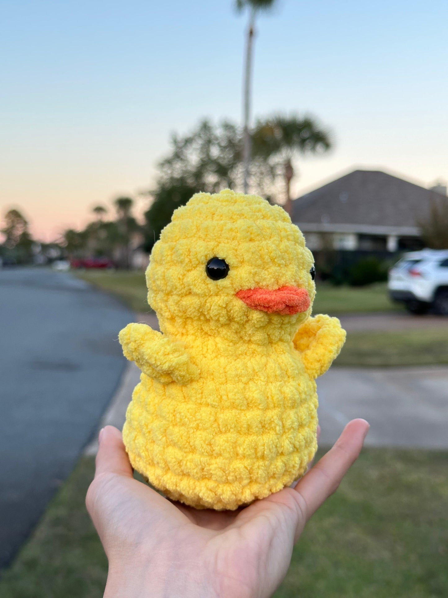 Duck
