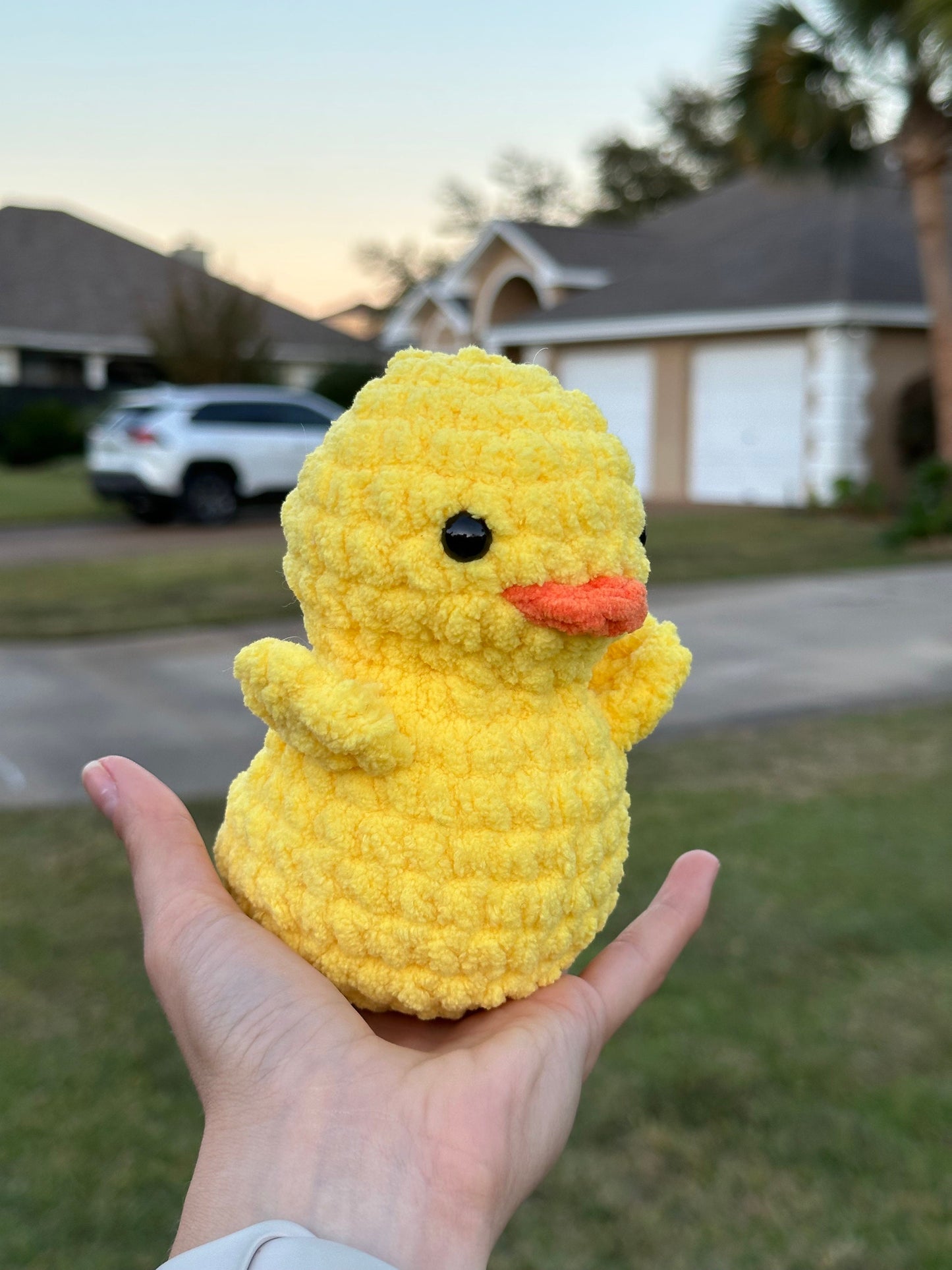 Duck