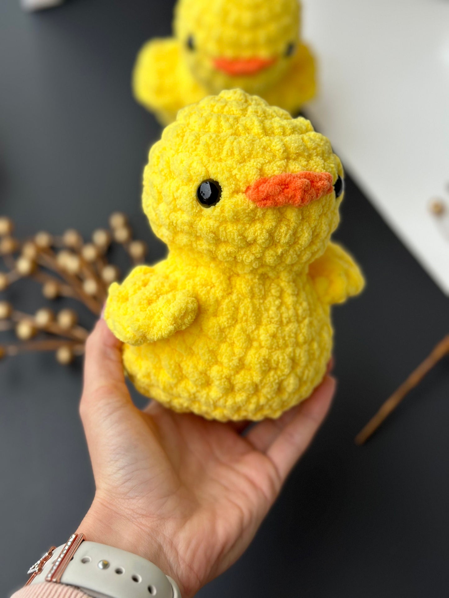 Duck