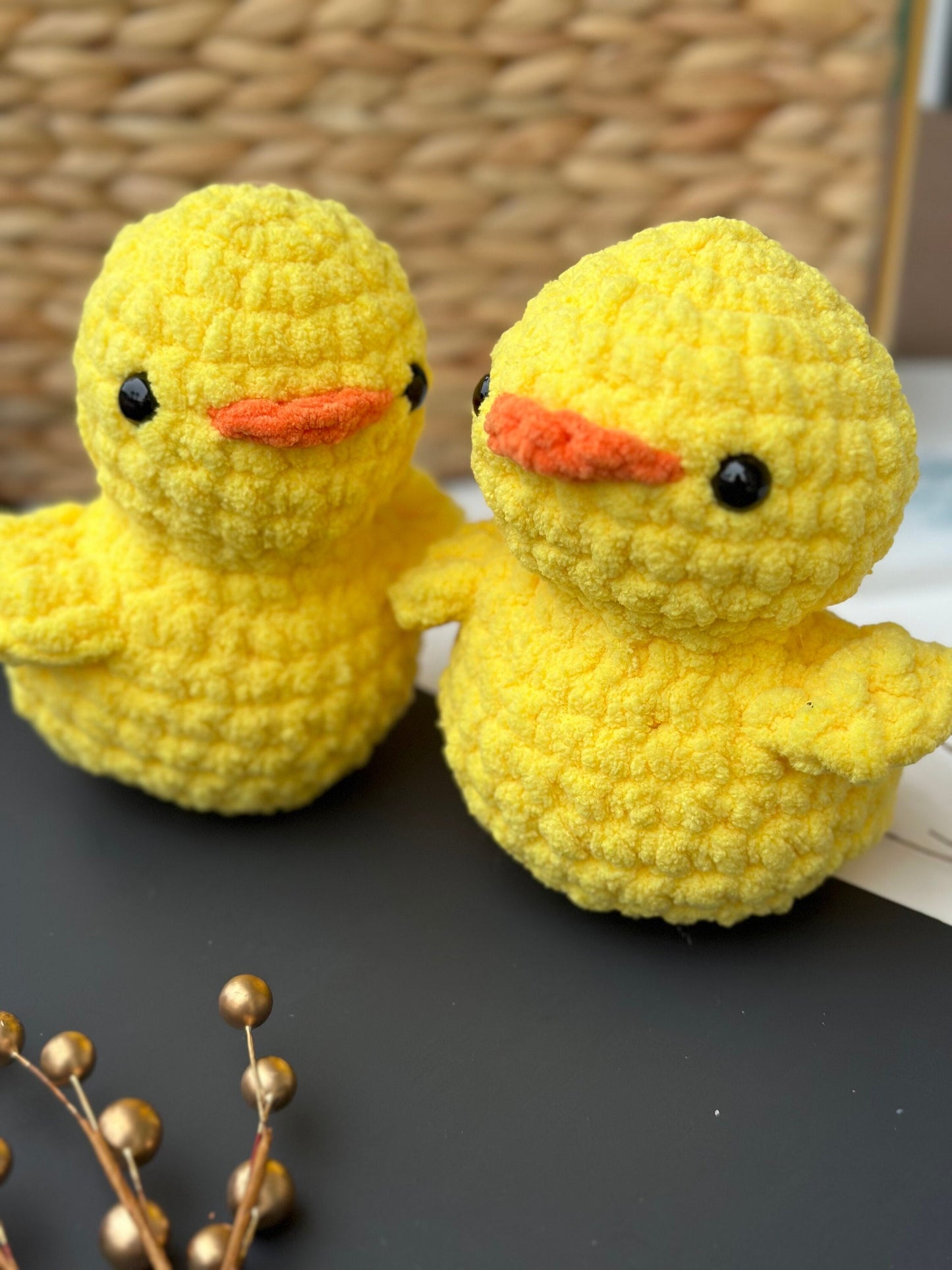Duck