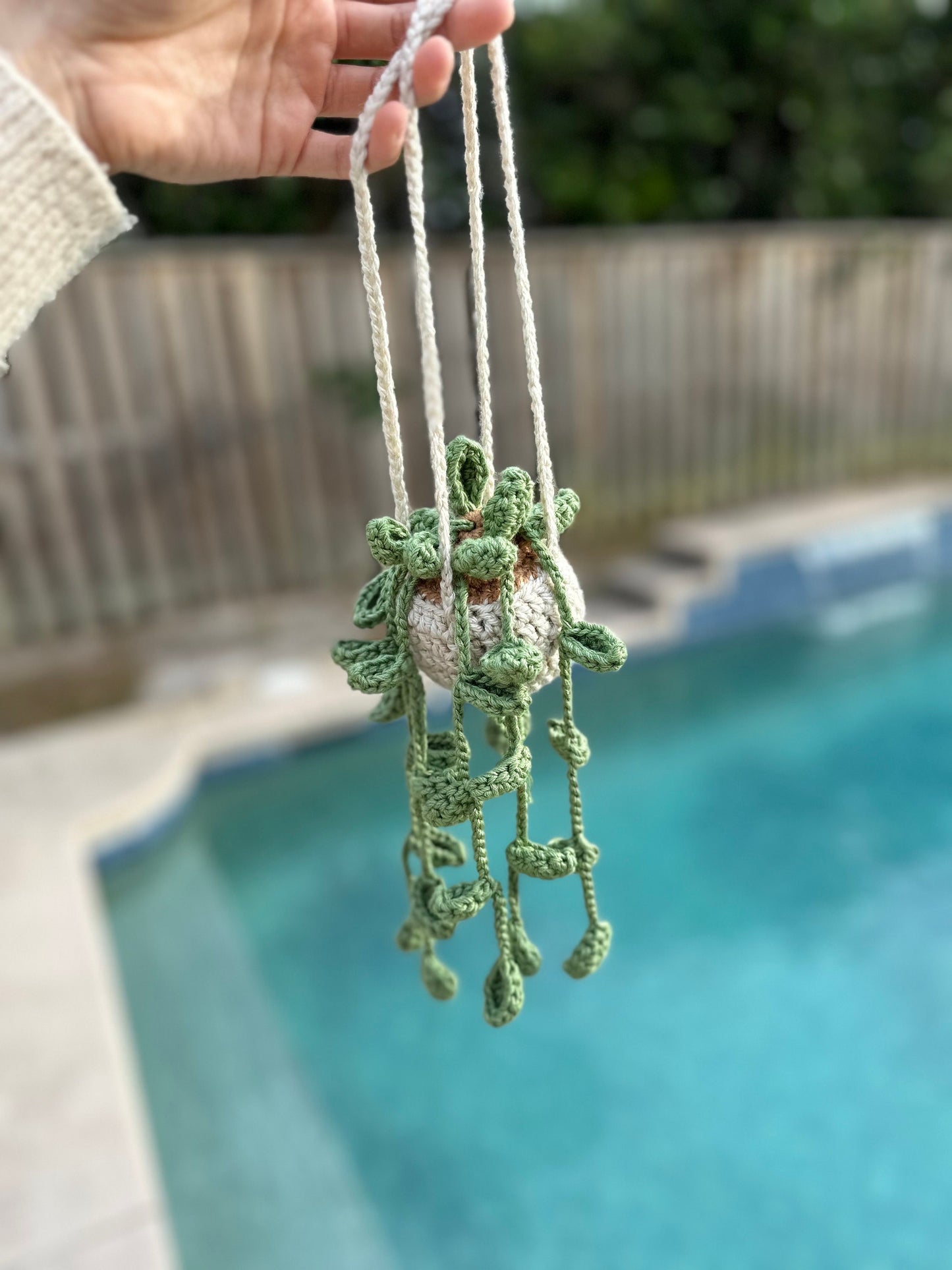 Hanging Plant