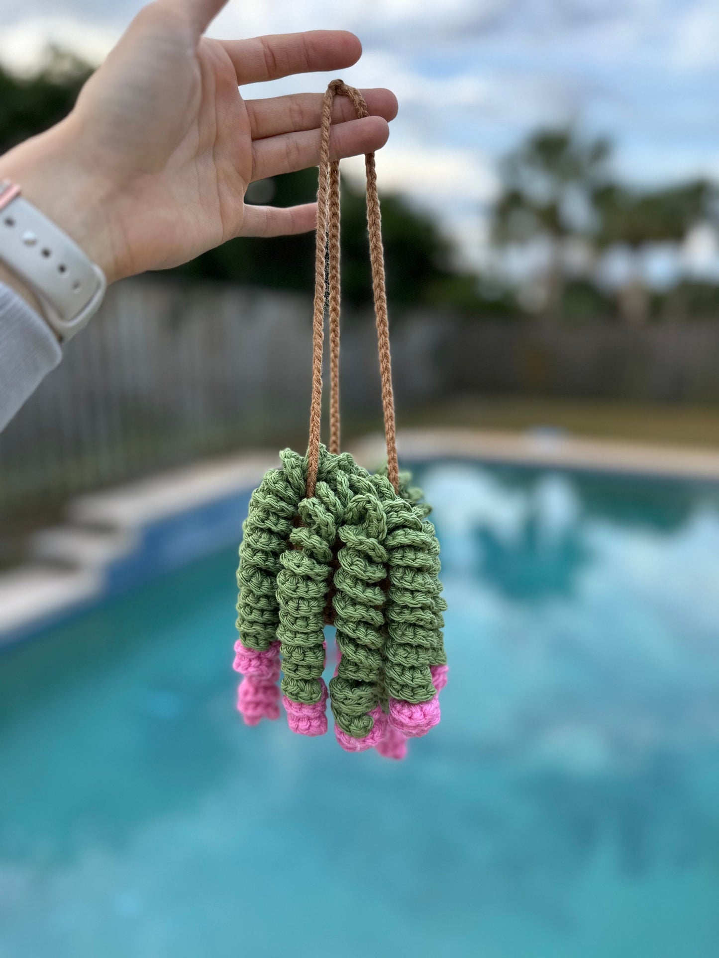 Curly Plant