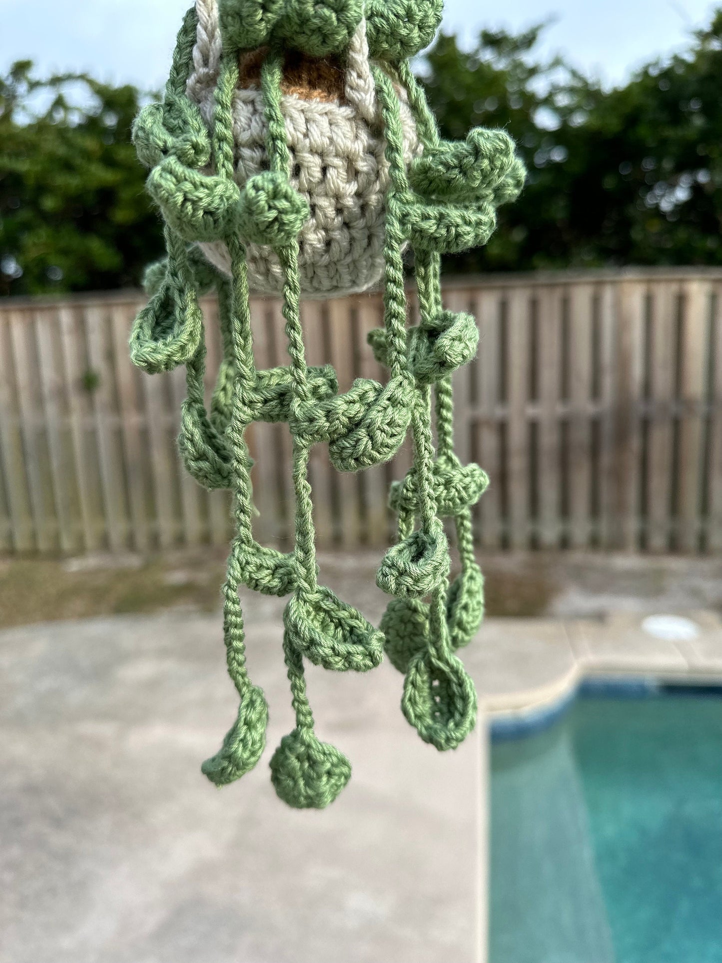 Hanging Plant