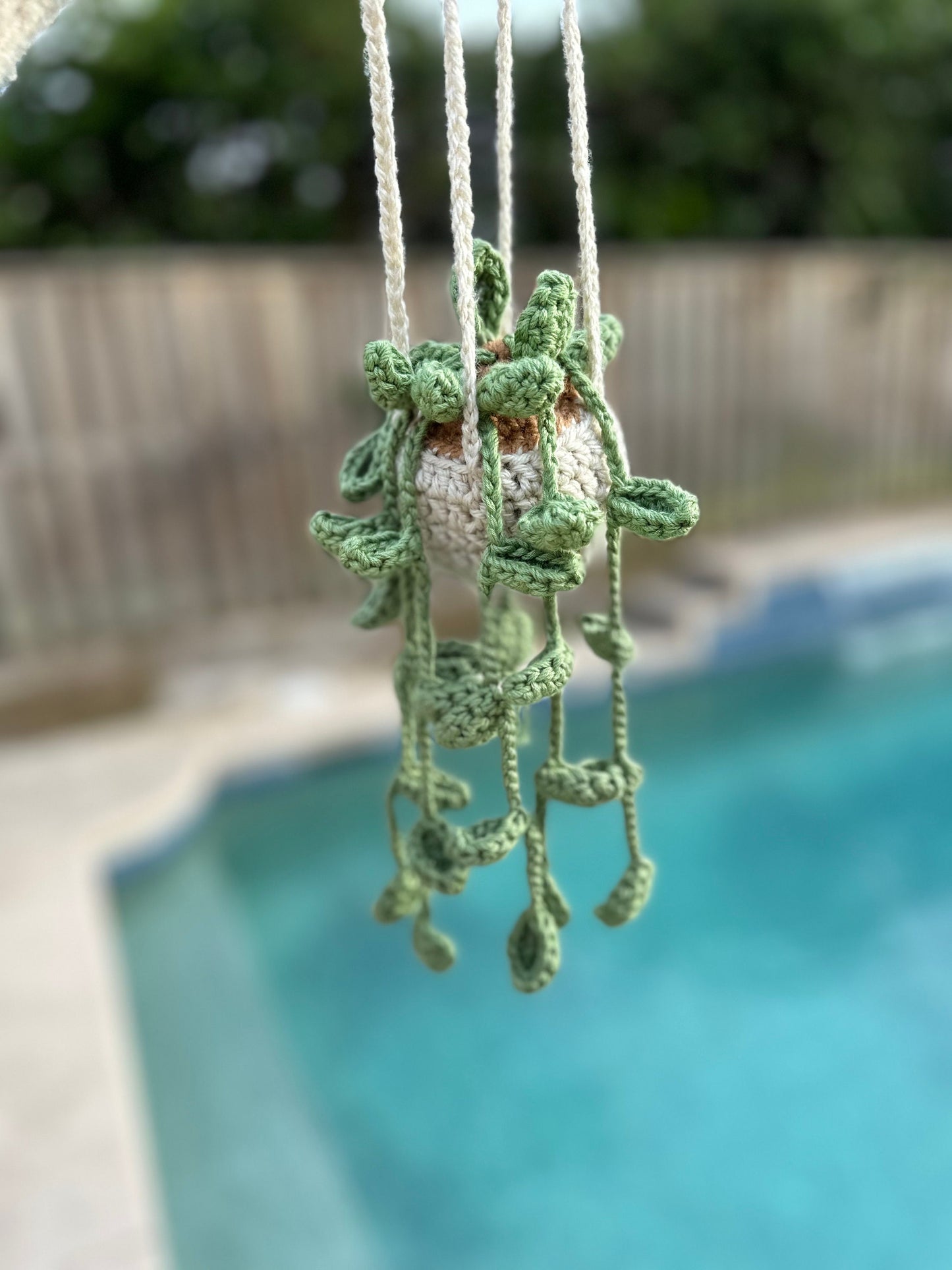 Hanging Plant