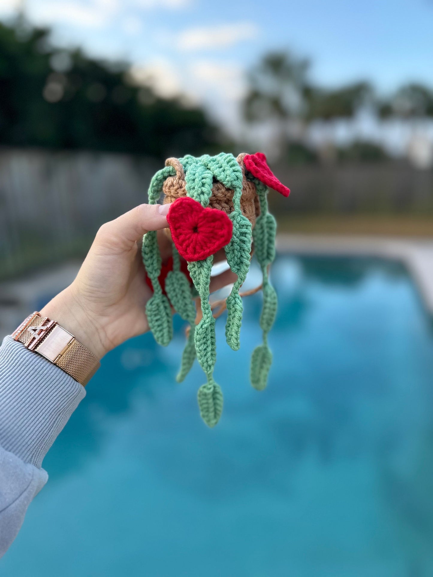 Hanging Hearts