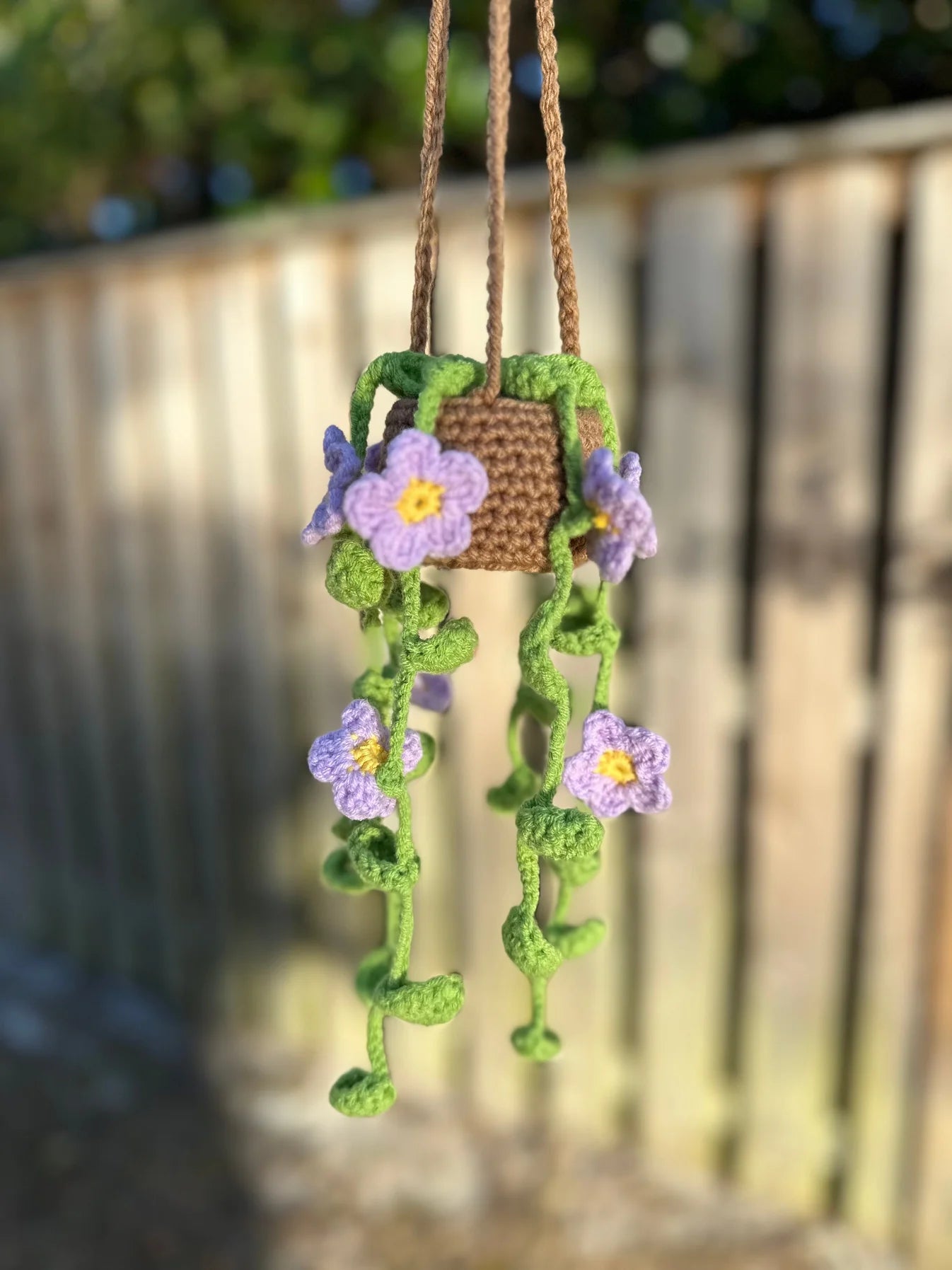 Daisy Flowers