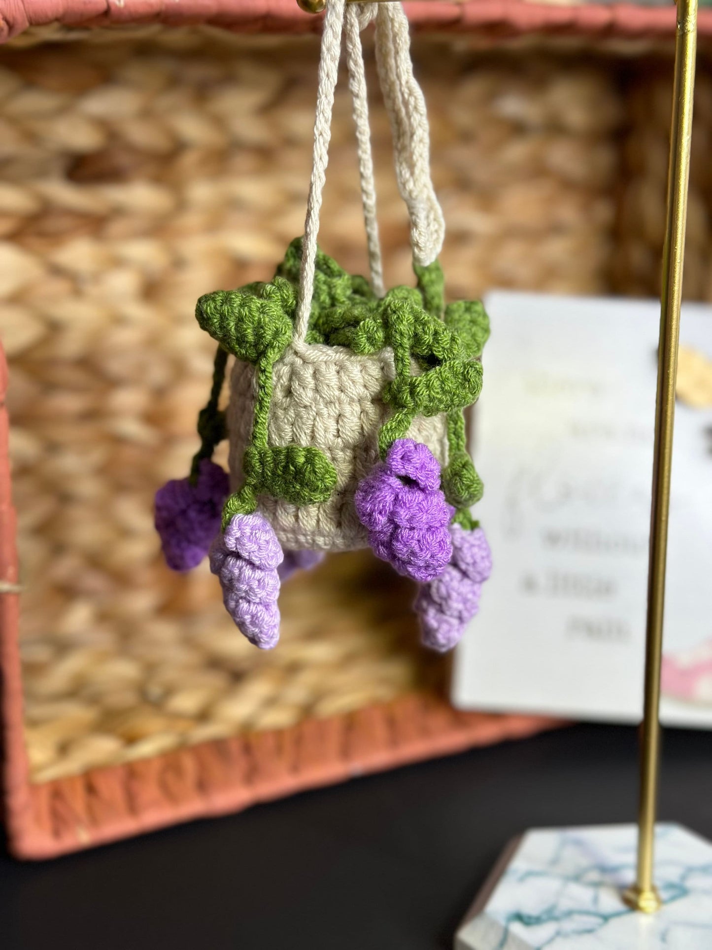Hanging Wisteria