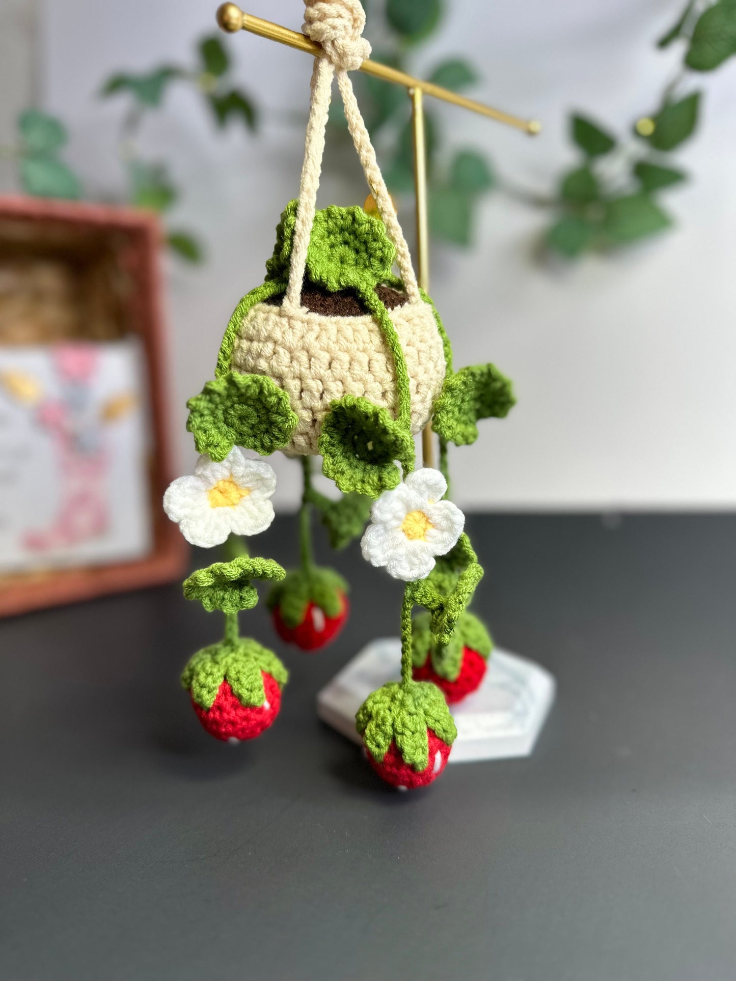 Crochet Hanging Plants Pattern Bundle