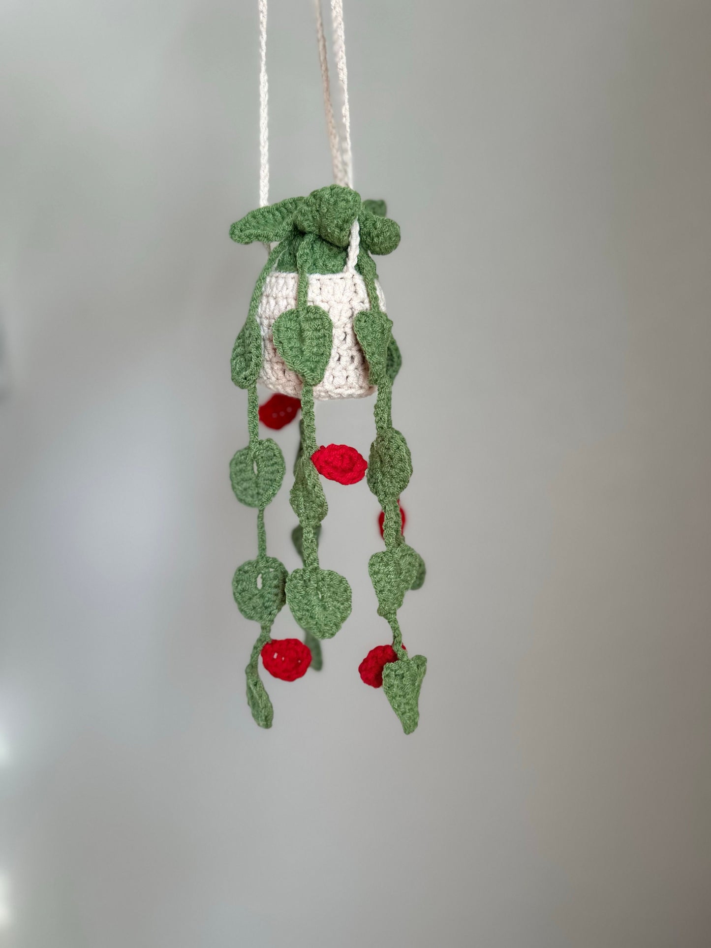 Hanging Plant with Red Flowers