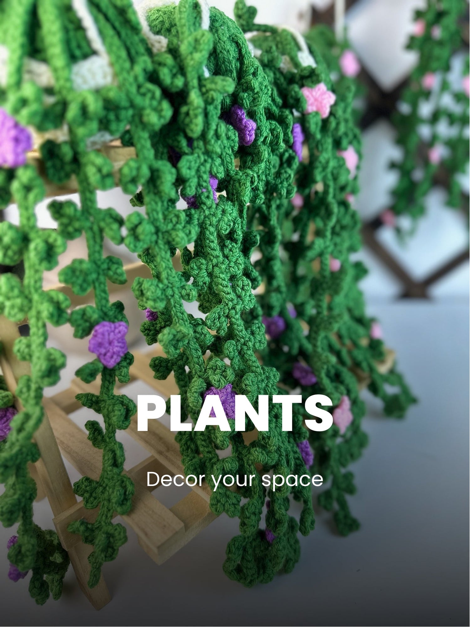 PLANTS