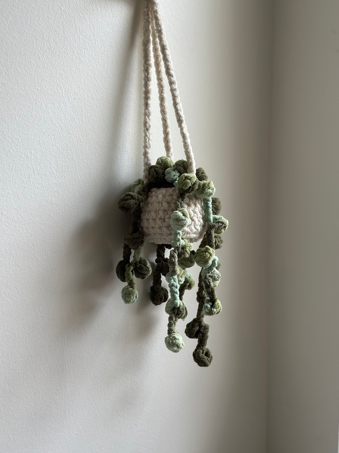 Handmade amigurumi String of Pearls plush plant gift for plant lovers