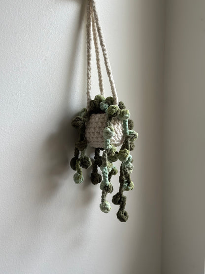 Handmade amigurumi String of Pearls plush plant gift for plant lovers