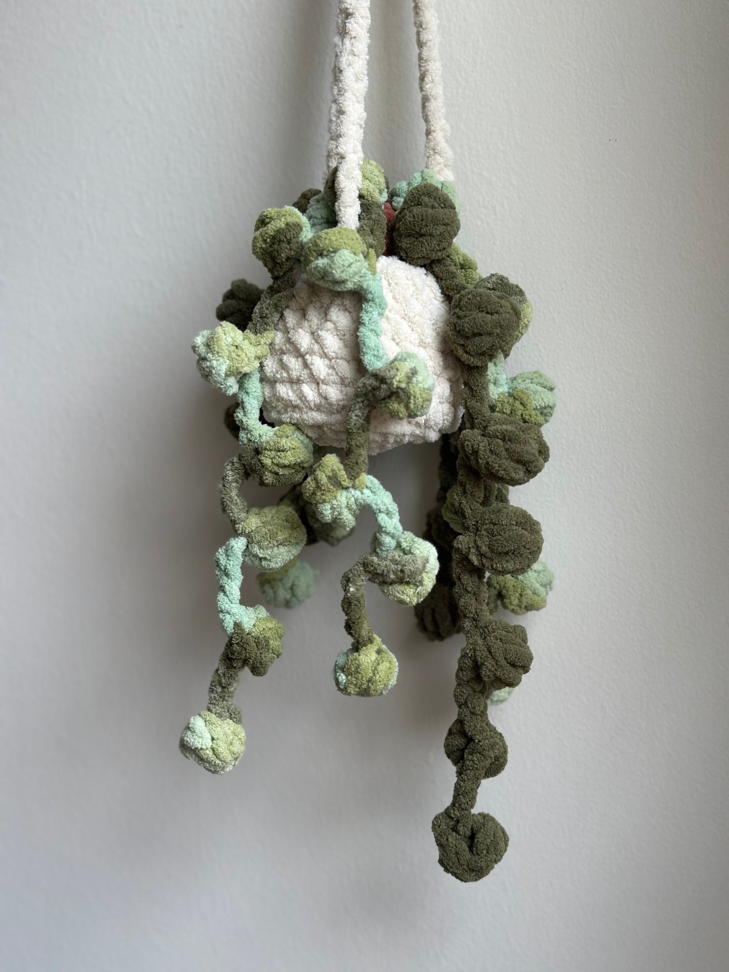 Crochet succulent plant plushie hanging decoration for living room