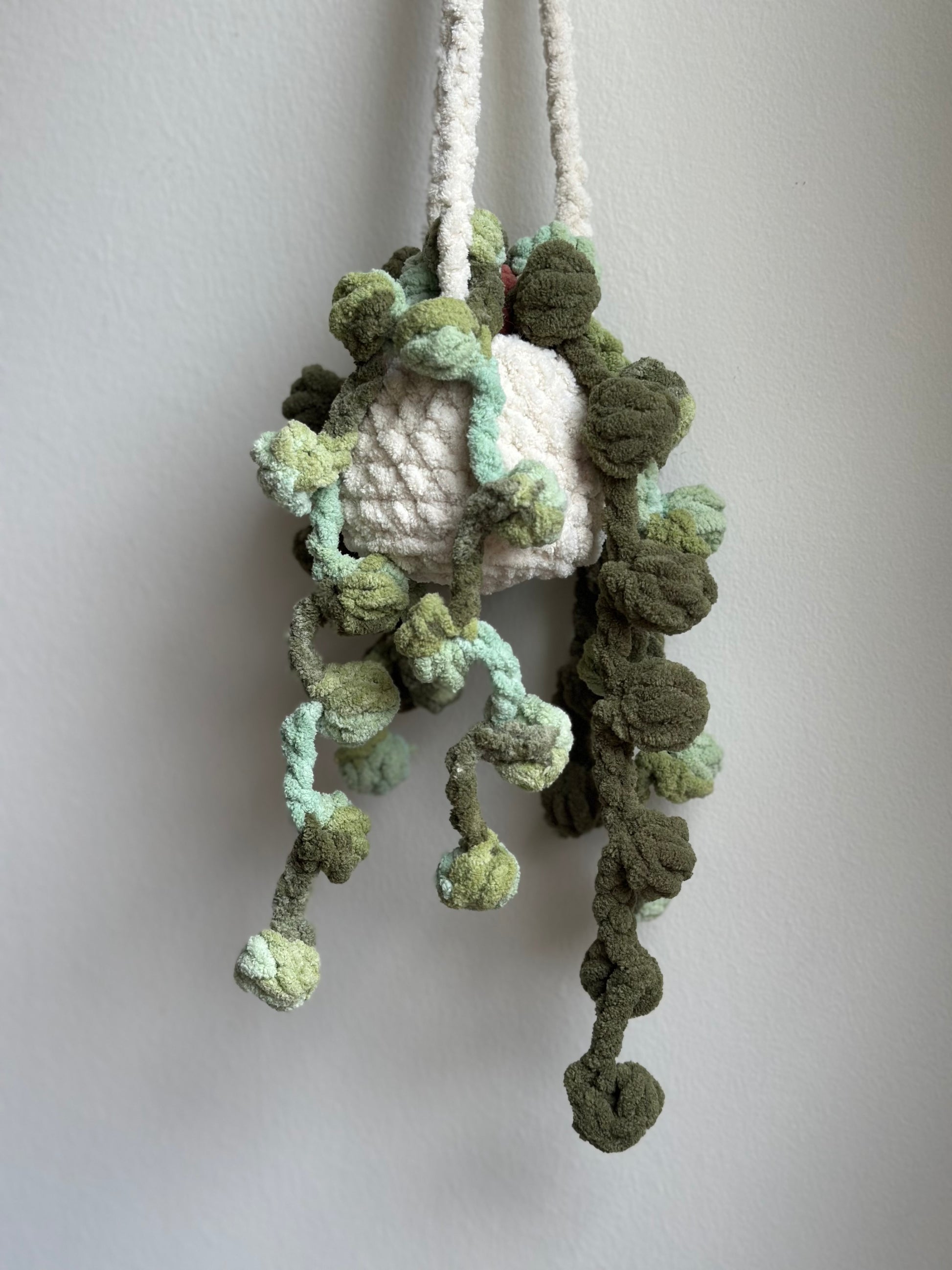 Crochet succulent plant plushie hanging decoration for living room