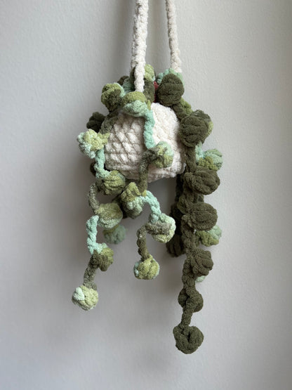 Crochet succulent plant plushie hanging decoration for living room