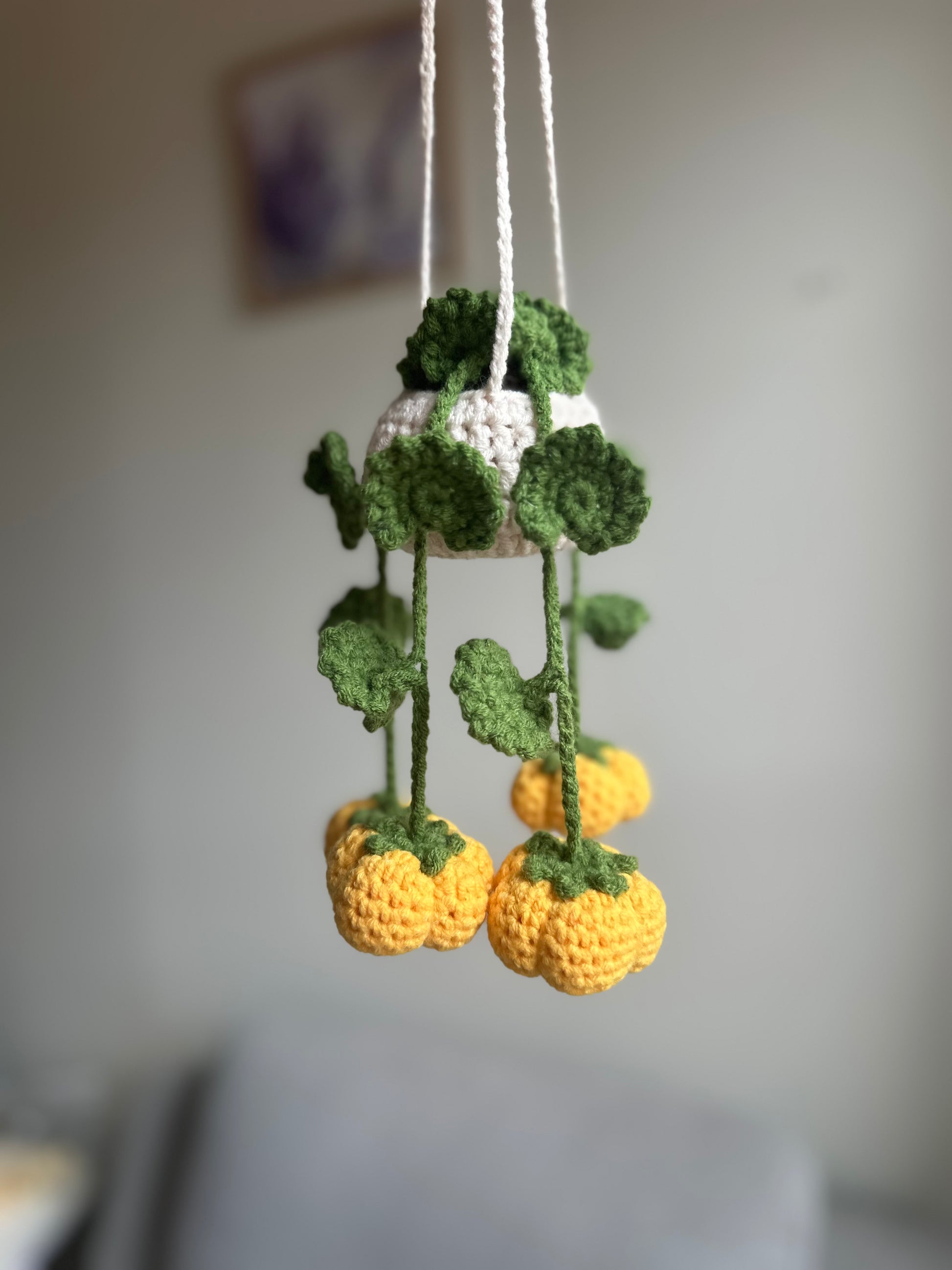 Crochet pumpkin plant pattern displayed hanging on wall – cozy handmade Halloween home decor idea.