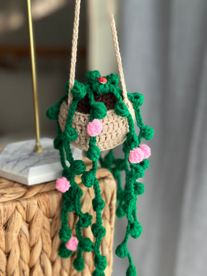 Crochet String of Pearls PLANT