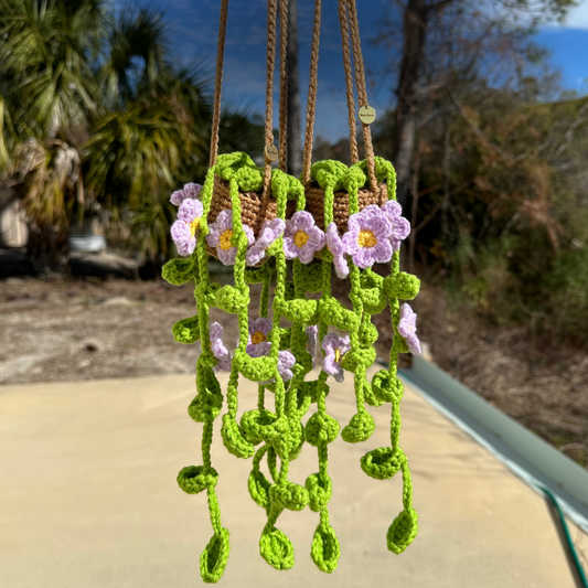 Hanging crochet plant with purple daisy flowers — DIY crochet kit for beginners