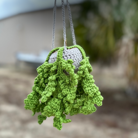 Hanging crochet fern plant in gray and white pot — DIY crochet kit