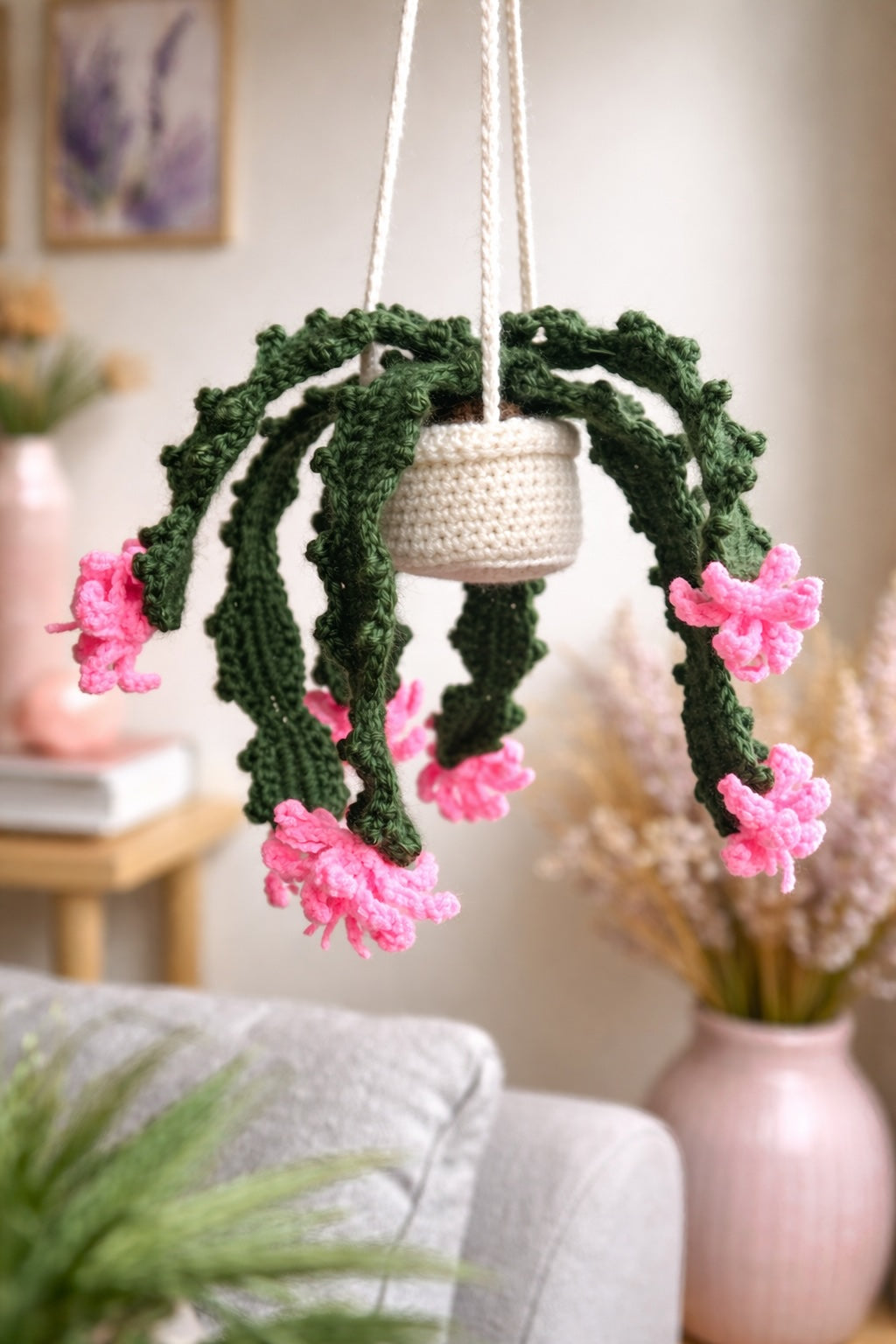 Christmas Holiday Cactus
